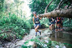 BIB: 
                            <button type="button" onclick="openModal(25445942)" class="btn btn-primary btn-sm float-right btn-popup" data-toggle="modal" data-target=".modal-high-quality">
                        <i class="fas fa-shopping-cart"></i> Add to Cart
                    </button>
                                            <button type="button" onclick="isThisMe(25445942, true)" class="btn btn-success btn-sm float-right btn-popup btn-isme hidden" data-toggle="tooltip" data-placement="bottom" title="นี่คือรูปของคุณใช่ไหม คลิกที่นี่เพื่อเอาเข้าอัลบั้ม">
                        <i class="fas fa-plus"></i> Add to album
                    </button>
                    <button type="button" onclick="isThisMe(25445942, false)" class="btn btn-warning btn-sm float-right btn-popup btn-isnotme hidden">
                        <i class="fas fa-ban"></i> Remove from album
                    </button>